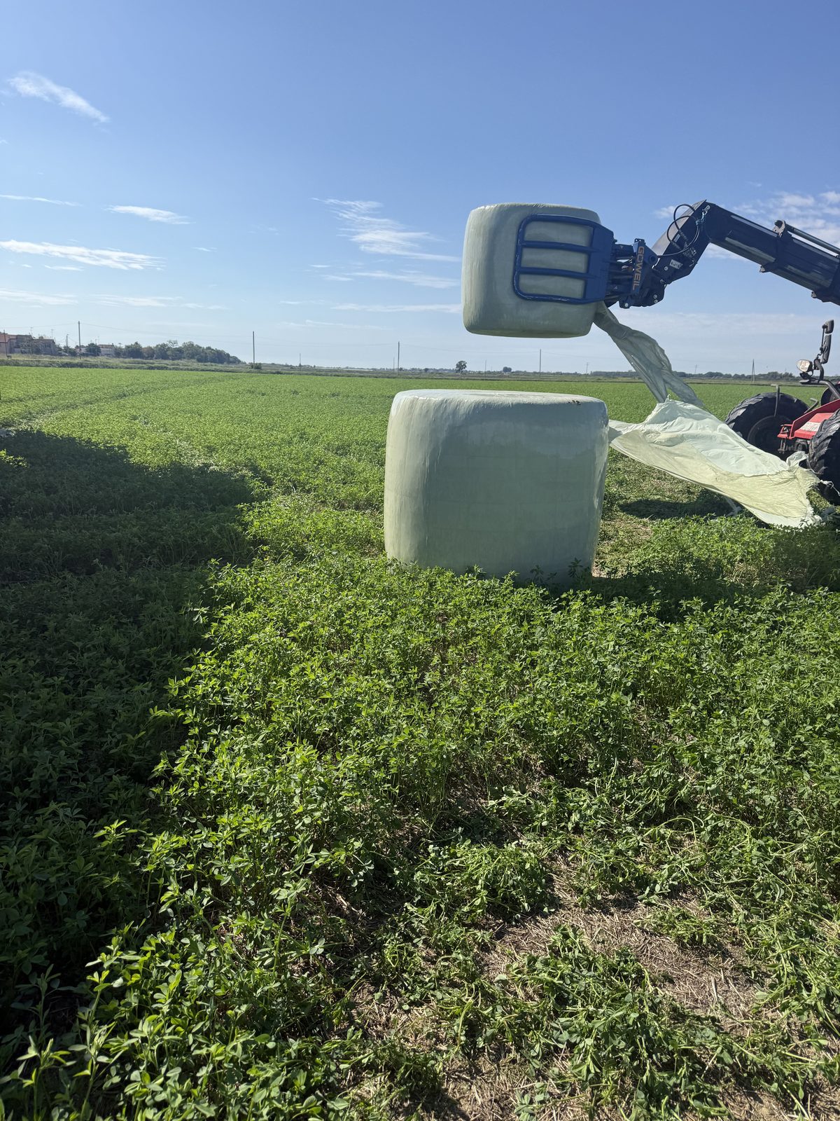 A wrapped bale set down in the field